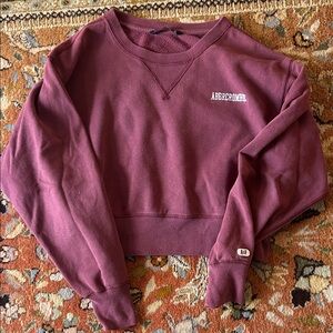 Abercrombie & Fitch Women's Maroon Crew Neck Sweater